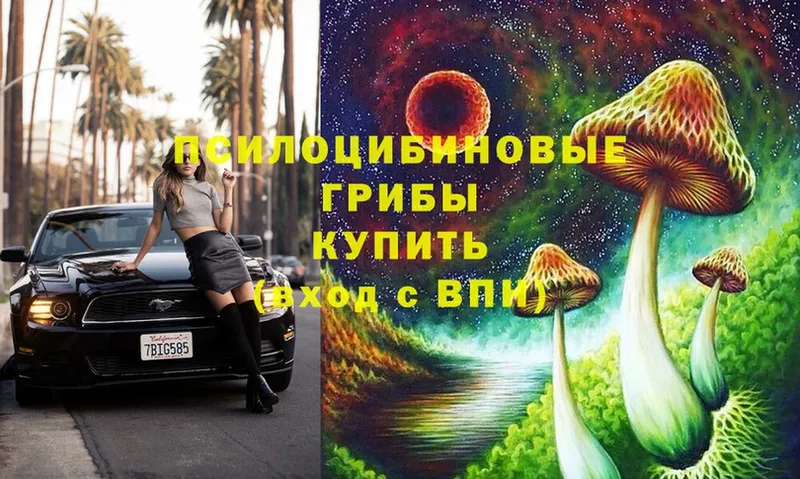 Галлюциногенные грибы ЛСД  Буинск 